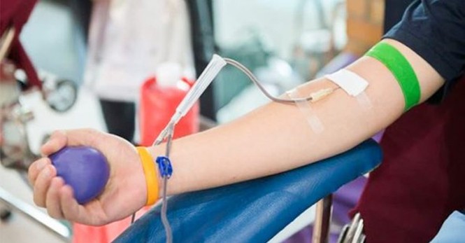 TPHCM lo thiếu máu vì dịch do virus corona - ảnh 1