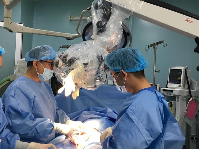 Hi hữu: Người đàn ông bị heo nái táp mất “của quý” - ảnh 1