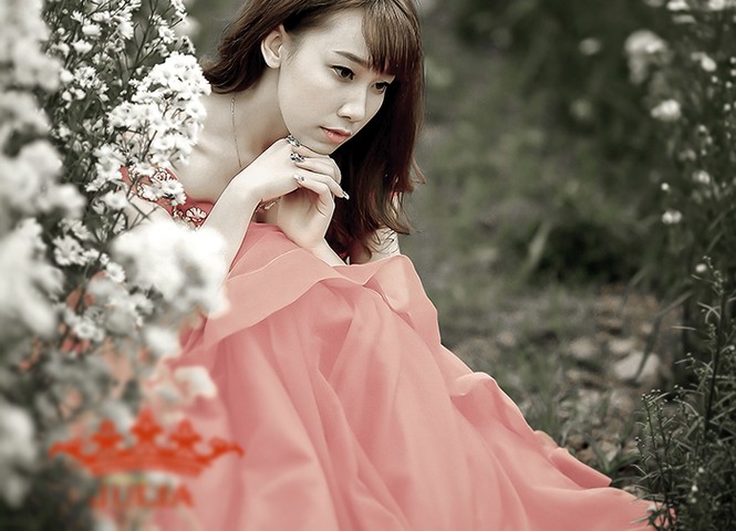 Tối nay, 10 nữ sinh khoe sắc trong chung kết Press Beauty 2016 - ảnh 8