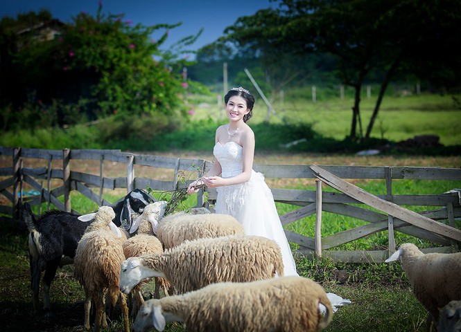 Ngắm thí sinh iMiss Thăng Long diện áo cưới tinh khôi - ảnh 5