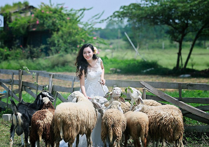 Ngắm thí sinh iMiss Thăng Long diện áo cưới tinh khôi - ảnh 1