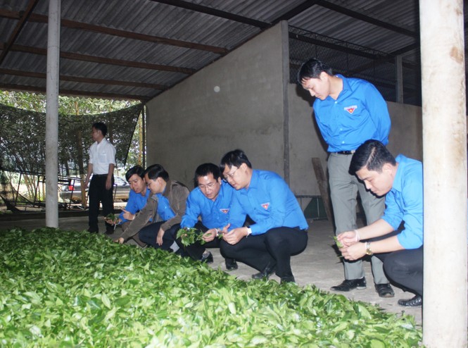 Bí thư thứ nhất T.Ư Đoàn thăm, tặng quà đội viên Tổng đội TNXP - XDVKT Hà Tĩnh - ảnh 1