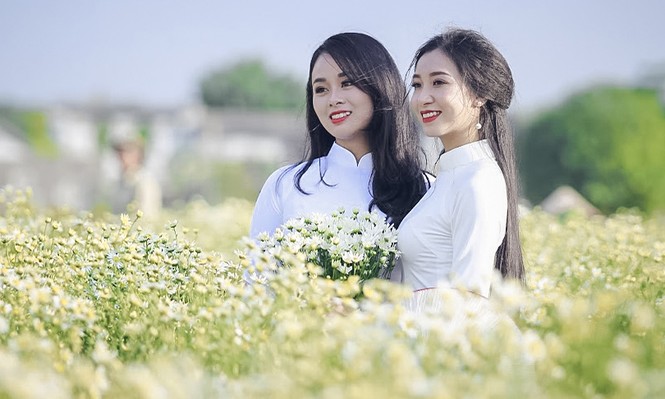 Thiếu nữ Hà thành thả dáng tuyệt đẹp bên cúc hoạ mi - ảnh 2