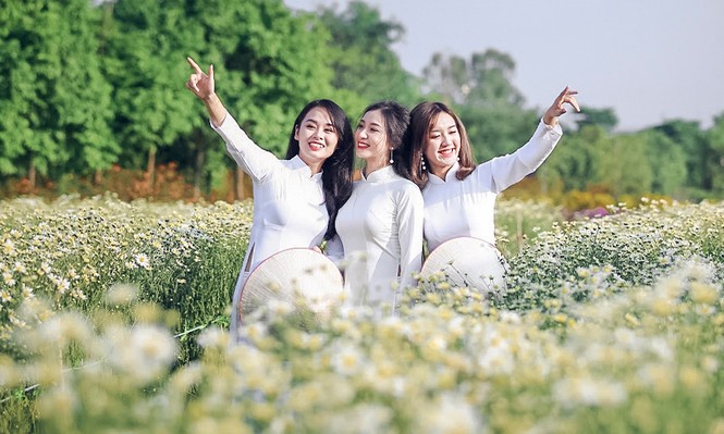Thiếu nữ Hà thành thả dáng tuyệt đẹp bên cúc hoạ mi - ảnh 1