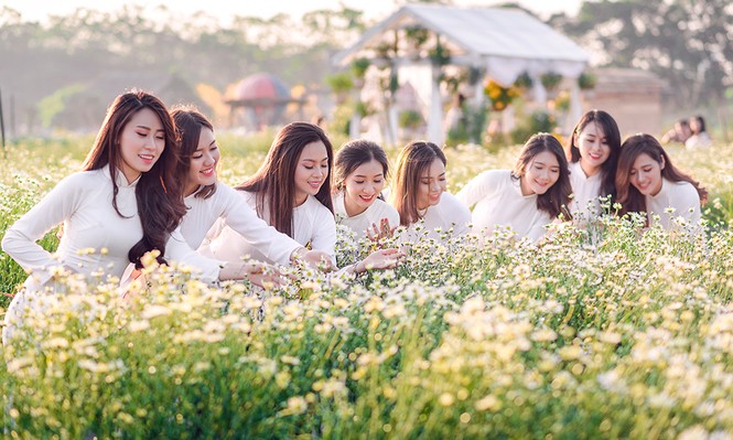Thiếu nữ Hà thành thả dáng tuyệt đẹp bên cúc hoạ mi - ảnh 8