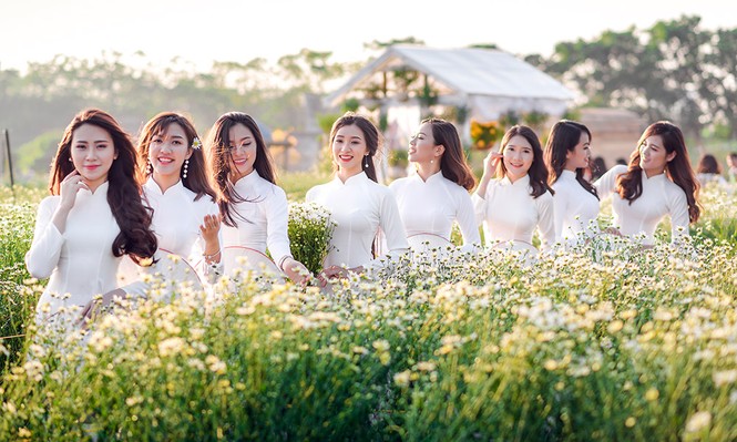 Thiếu nữ Hà thành thả dáng tuyệt đẹp bên cúc hoạ mi - ảnh 9