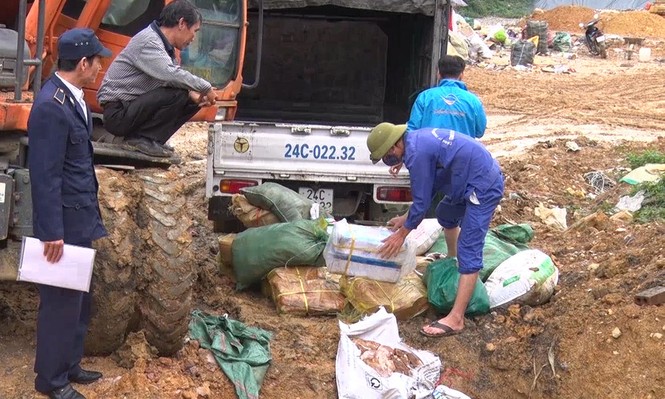 Bắt giữ, tiêu hủy gần 770kg thực phẩm đông lạnh nhập lậu - ảnh 1