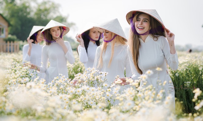Thiếu nữ phương Tây khoe sắc giữa đồng hoa hoạ mi Hà thành - ảnh 1
