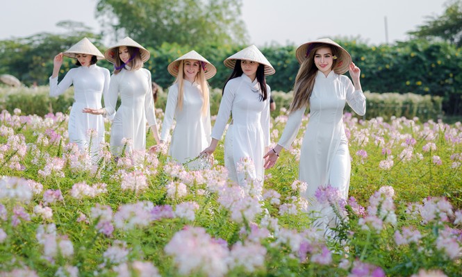 Thiếu nữ phương Tây khoe sắc giữa đồng hoa hoạ mi Hà thành - ảnh 7