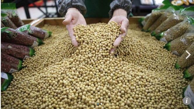 Nga mời chào Trung Quốc thuê đất nông nghiệp - ảnh 1