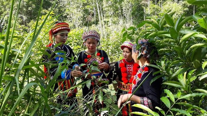 Khởi nghiệp từ sản phẩm truyền thống để bảo vệ văn hóa của người Dao - ảnh 1
