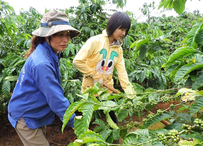 Trao Học bổng