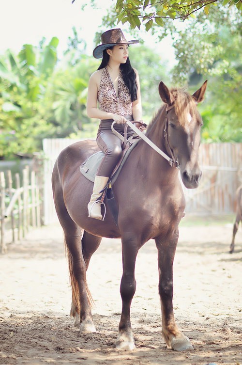Kiều nữ đẹp lạnh lùng bên ngựa hoang - ảnh 6