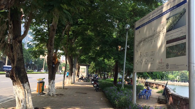 Hà Nội chặt chuyển hơn 100 cây xanh phố Kim Mã - ảnh 1