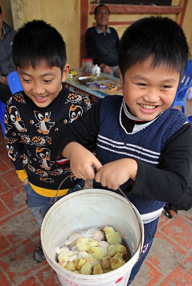 Làm giàu từ mô hình nuôi gà Đông Tảo - ảnh 8