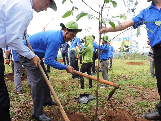 Đắk Lắk: Tuổi trẻ trồng rừng kỷ niệm sinh nhật Bác - ảnh 4