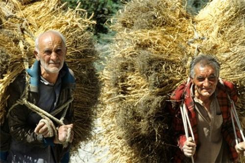 Bí ẩn bộ tộc khỏe thọ hạnh phúc nhất thế giới - ảnh 3