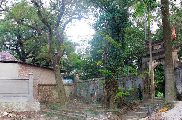 Hà Nội: Ngày mai chặt hạ “cây sưa trăm tỷ” - ảnh 1