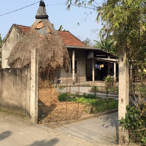 Bé gái 14 tuổi tố bị ông lão hàng xóm làm mình có thai - ảnh 1