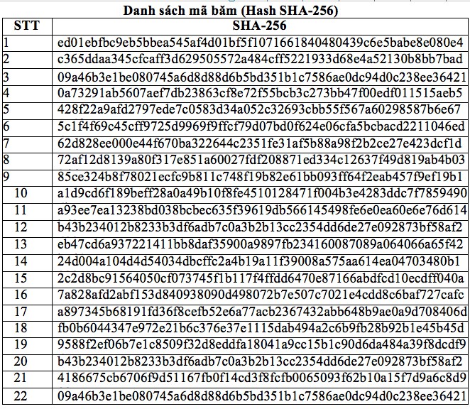 Cảnh báo toàn hệ thống an ninh mạng cảnh giác với virus tống tiền - ảnh 3