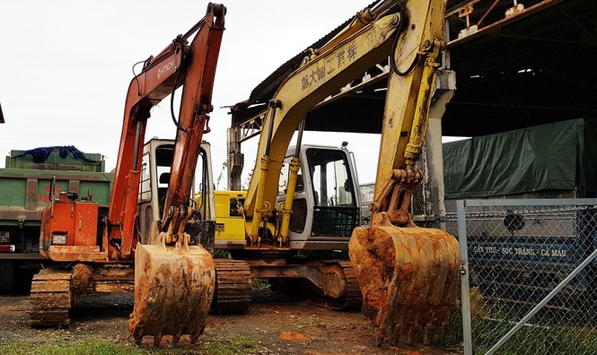 Chặt phá, đầu độc rừng thông gần khu du lịch Dinh Bảo Đại - ảnh 1