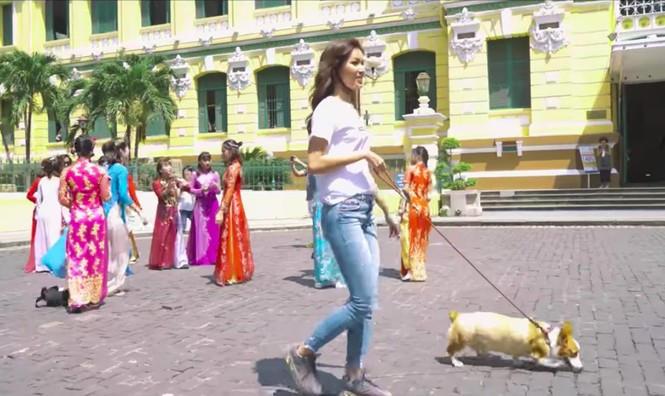 Minh Tú đưa cún cưng vào clip tự giới thiệu ở Hoa hậu Siêu quốc gia - ảnh 1
