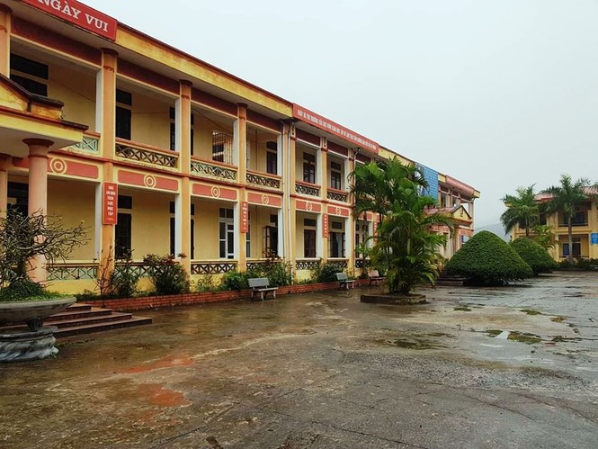 12 học sinh tiểu học bị chó cắn trong sân trường - ảnh 1