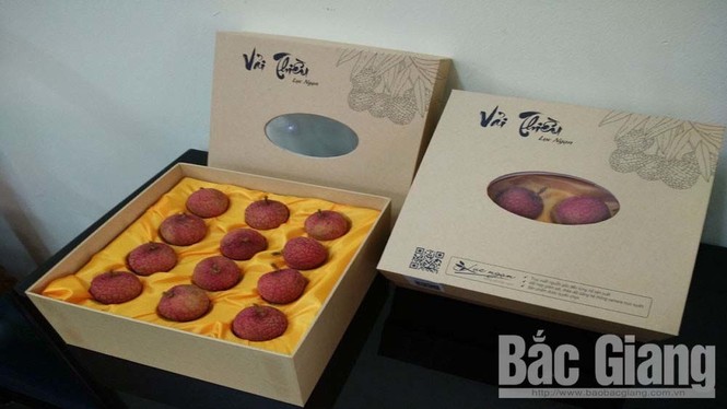 Tiết lộ, 'vàng đỏ' trăm triệu làm từ bột nghệ và hóa chất - ảnh 1