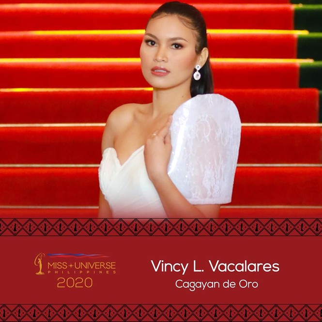 Ra mắt báo giới, nhan sắc thí sinh Miss Universe Philippines lại gây tranh cãi - ảnh 10
