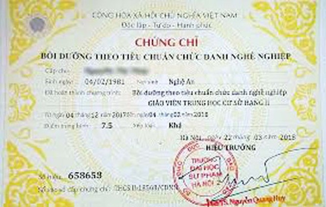 Nhiều cán bộ, giáo viên là nạn nhân của trường cao đẳng 'chui' - ảnh 2