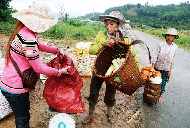 Nghỉ học vì dịch cúm, trẻ em nghèo vùng sâu theo người lớn đi hái 'lộc trời' - ảnh 4