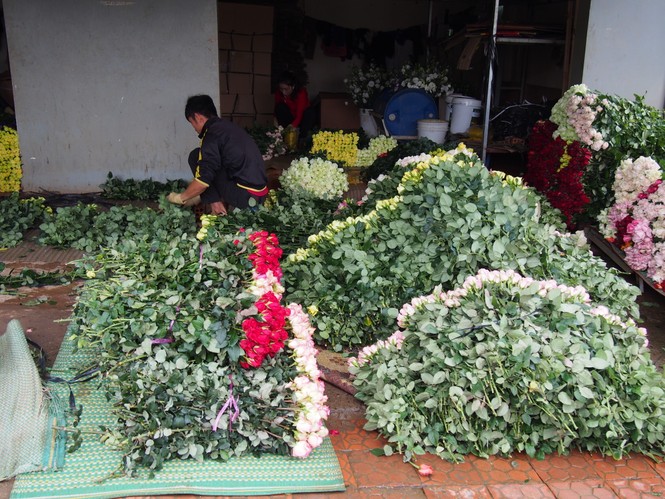 Giá hoa hồng Đà Lạt giảm sốc mùa Valentine - ảnh 2