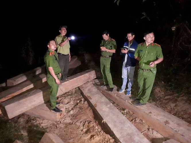 Công an huyện M’đrắk mật phục bắt vụ vận chuyển gỗ lậu