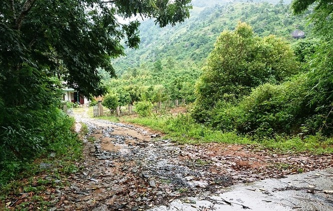 Bên trong đường bê tông này chỉ có 1 hộ dân sinh sống