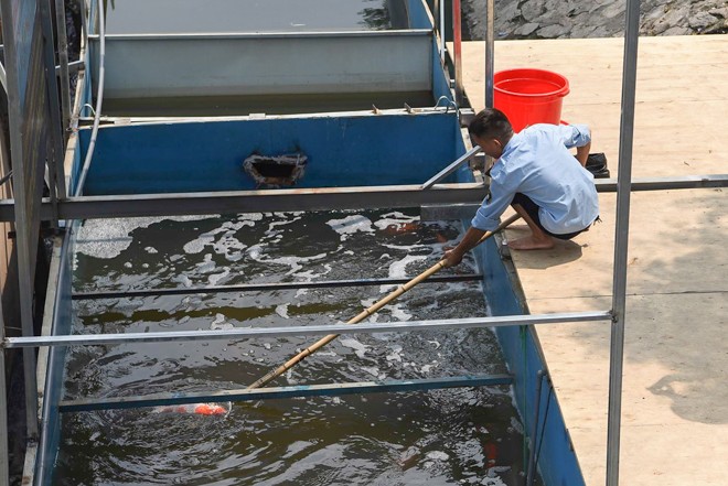 Lắp thêm 'mắt thần' theo dõi sau vụ cá Koi trên sông Tô Lịch đột ngột chết - ảnh 10