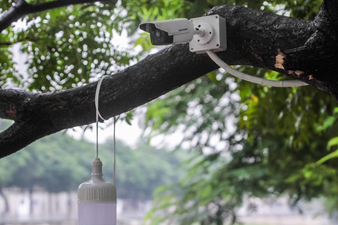 Lắp thêm 'mắt thần' theo dõi sau vụ cá Koi trên sông Tô Lịch đột ngột chết - ảnh 1