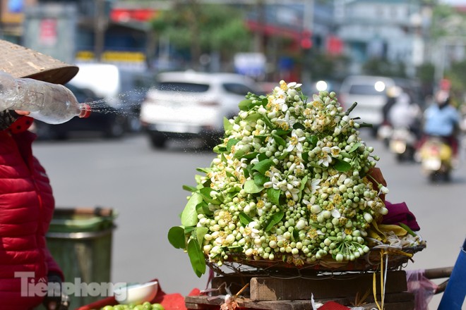 Hoa bưởi dịu dàng ngày xuân, nét chấm phá cho phố phường Hà Nội - ảnh 9