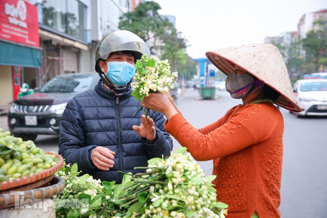 Hoa bưởi dịu dàng ngày xuân, nét chấm phá cho phố phường Hà Nội - ảnh 12