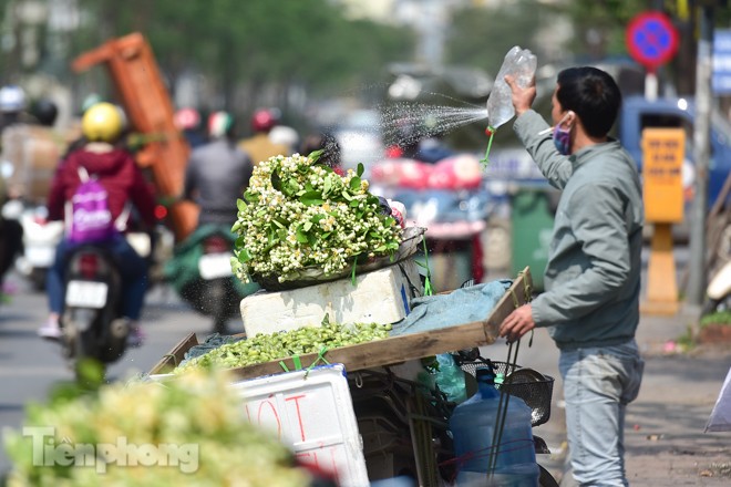 Hoa bưởi dịu dàng ngày xuân, nét chấm phá cho phố phường Hà Nội - ảnh 5