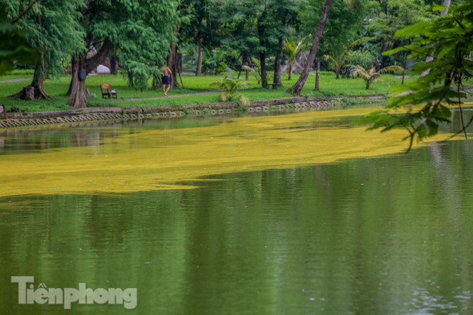 Mặt hồ Bách Thảo bất ngờ đổi màu lạ - ảnh 2