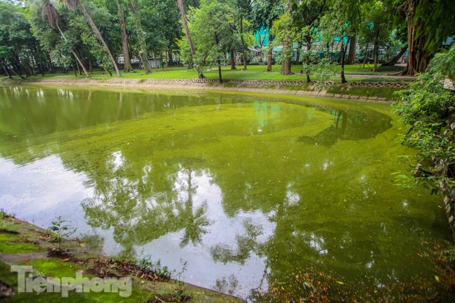 Mặt hồ Bách Thảo bất ngờ đổi màu lạ - ảnh 3