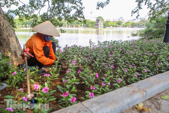Vỉa hè hồ Hoàn Kiếm 'tăng tốc' lát đá, chỉnh trang vườn hoa - ảnh 11