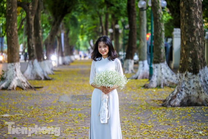 Lá phủ vàng con phố trong tiết trời chuyển sang thu ở Hà Nội - ảnh 11