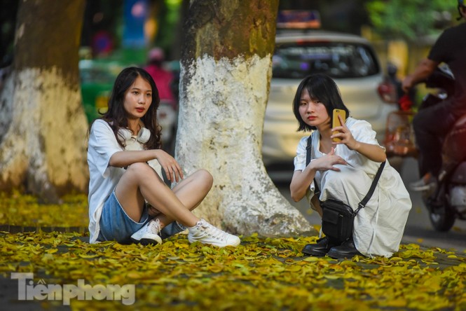 Lá phủ vàng con phố trong tiết trời chuyển sang thu ở Hà Nội - ảnh 3