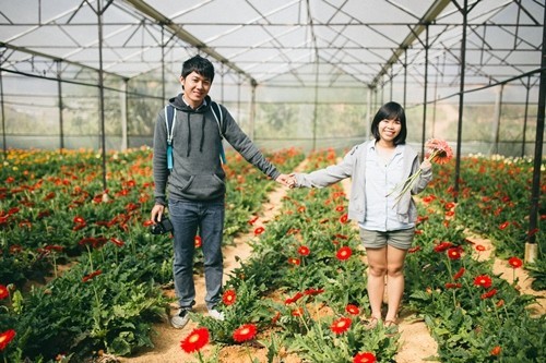 Chuyện tình của chàng đẹp trai và cô gái nấm lùn - ảnh 4