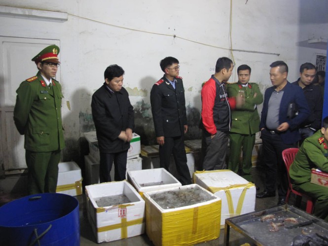 Hải Phòng: Phát hiện cơ sở bơm tạp chất vào tôm chết - ảnh 1