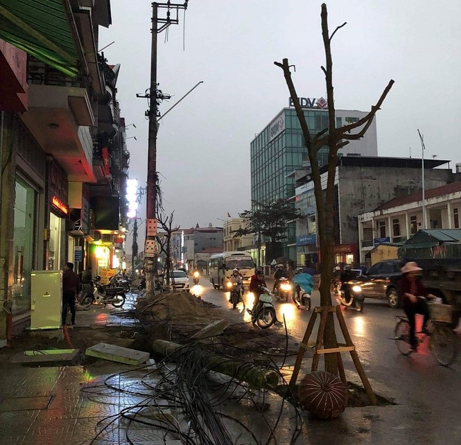 Trồng cây phản cảm, nhổ đi lại thành “bẫy” trên đường - ảnh 1
