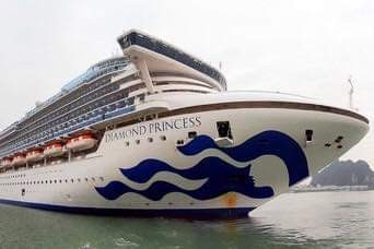 Hướng dẫn viên đoàn tàu Diamond Princess quay lại phòng cách ly sau khi bỏ trốn - ảnh 1