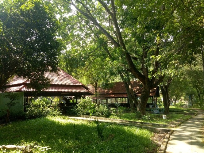 Bên trong công viên Thủ Dầu Một bị “xẻ thịt” để kinh doanh - ảnh 12