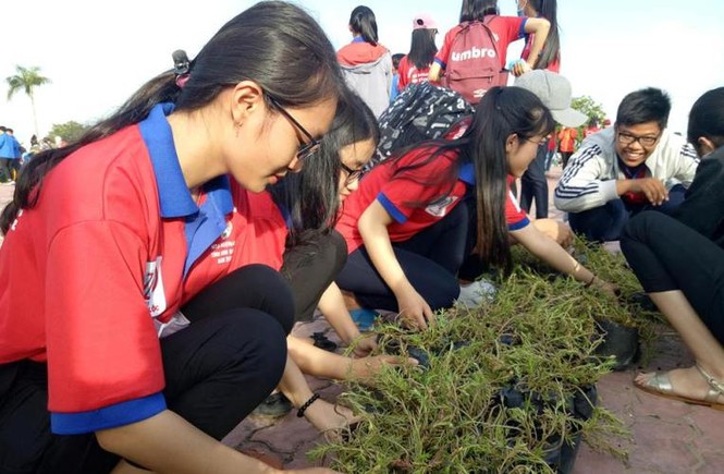 Nhiều hoạt động ý nghĩa của đoàn viên trong chiến dịch “Hoa phượng đỏ” - ảnh 1